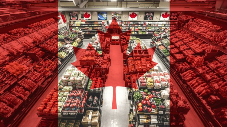 CRA Confirms $628 Canada Grocery Rebate for February 2026 – Eligibility and Payment Amounts