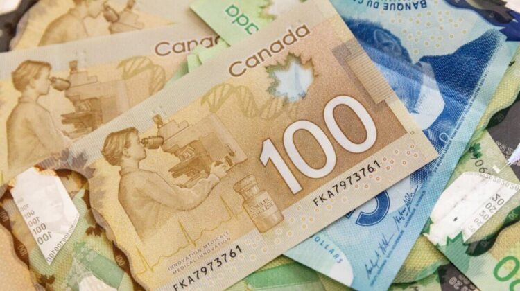 Allocation canadienne pour l’épicerie 2026 : date confirmée, montants révélés et dépôt automatique en juin