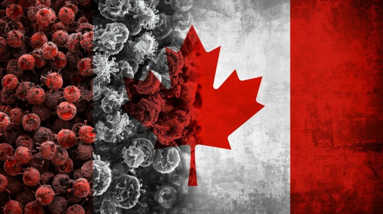 More Cases of Salmonella Infection Confirmed in Outbreak Tied to Hamilton Restaurant