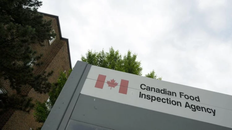 Recall: Nuts in Ontario flagged for potential salmonella contamination