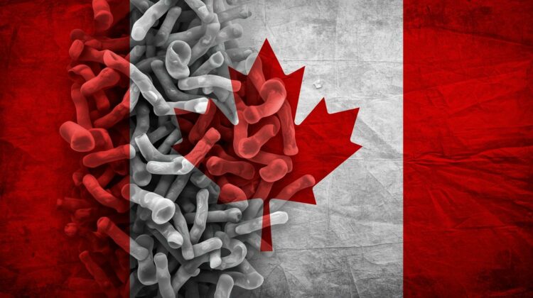 Salmonella Outbreak Expands in Ontario: 13 Confirmed Cases Linked to Hamilton Restaurant as Investigation Intensifies