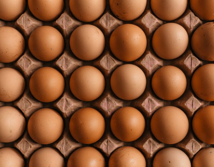 Urgent Recall Issued for Egg Products in Ontario and Quebec Over Salmonella Risk