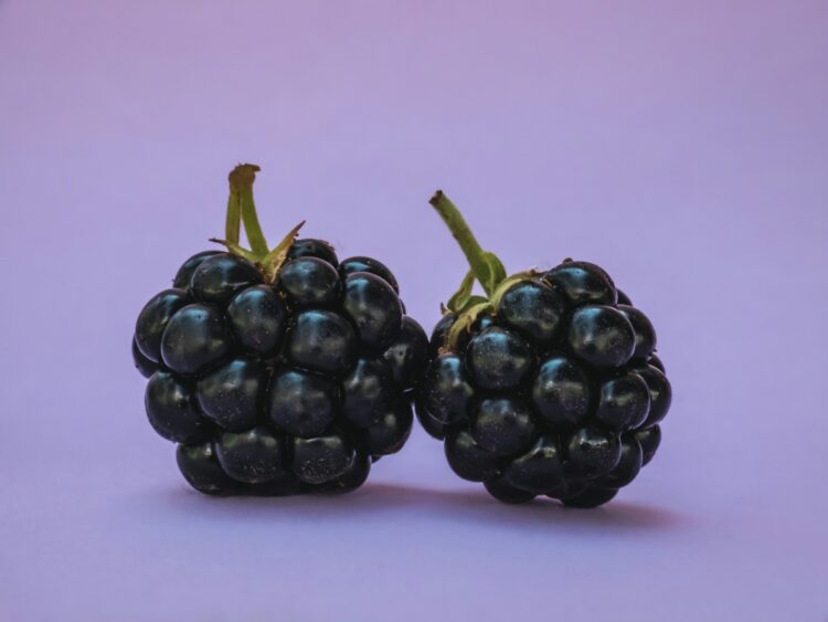 ALDI Sweeter Blackberries: BERRY GOOD News as Aldi Brings 100% British-Grown Blackberries to ALL Stores This Month