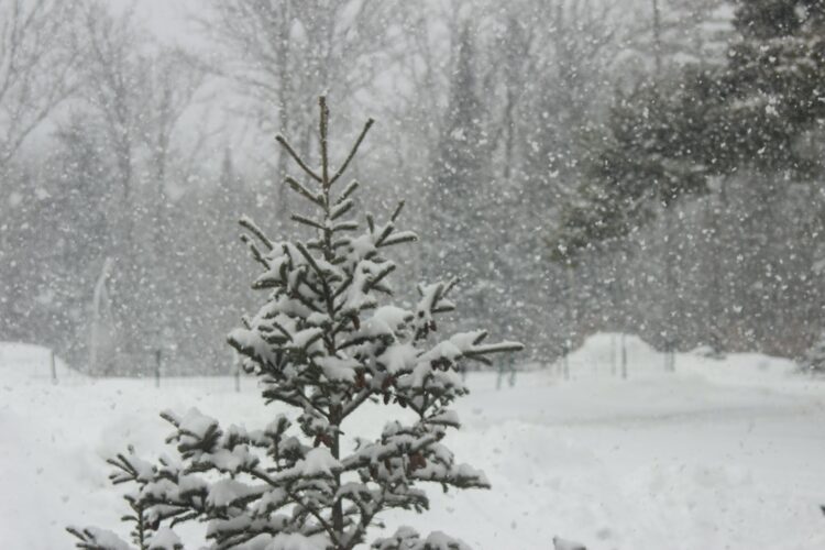 Boulder Braces for Winter Storm Bringing Up to 9 Inches of Snow: Travel Disruptions, Timing, and What to Expect