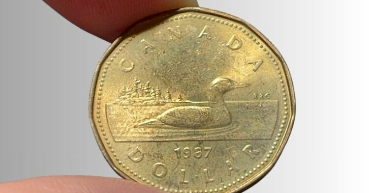 Canadian Dollar Hits Five-Week Low as Canada Inflation Data Shakes Bank of Canada Rate Hike Expectations