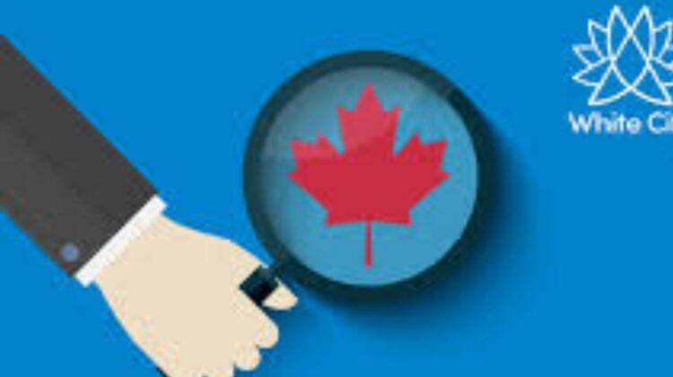 Census Canada 2026 Deadline and Fines: What Happens If You Don’t Fill Out the Census Canada Form and Why Statistics Canada 2026 Census Matters More Than Ever
