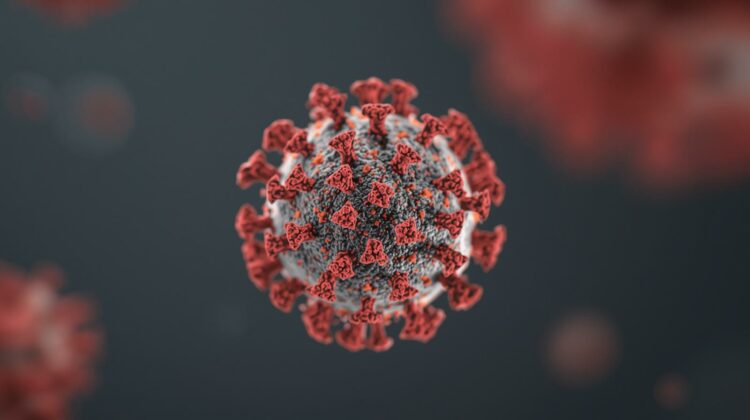 Cruise Ship Virus Alert: What Is Hantavirus Disease and How Did It Spread on the Hondius Ship? Inside the Deadly Hantavirus Infection Outbreak
