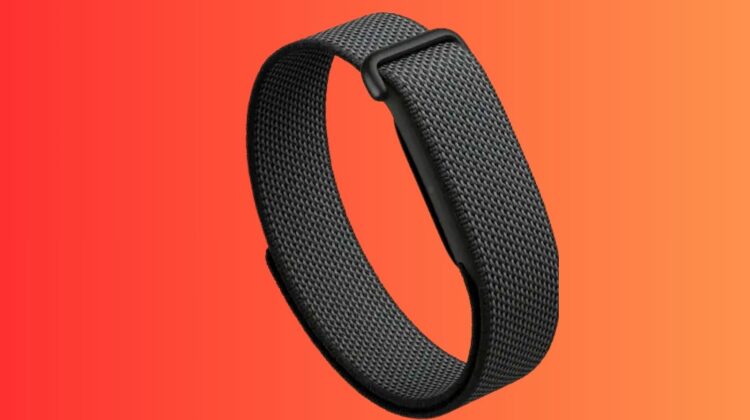 Google Launches Fitbit Air Tracker to Challenge Whoop With a Cheaper Screen-Free Fitness Band