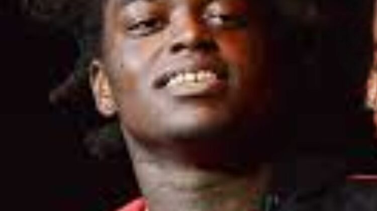 Kodak Black Arrested in Florida on Drug Trafficking Charge: Rapper Kodak Black Booked Into Jail as Case Develops