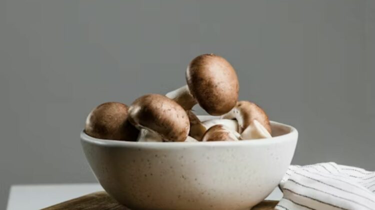 Magic Mushrooms Science Breakthrough: New Study Reveals How a Psychedelic Trip May Rewire the Brain and Change Emotional Pathways