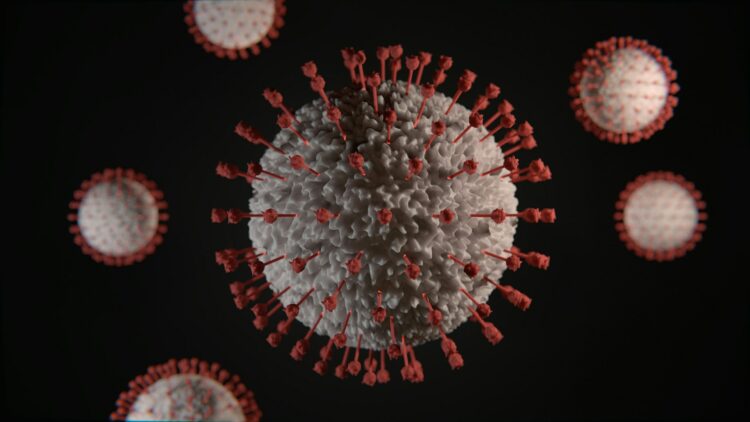 Virginia on High Alert as Hantavirus in the US Cruise Ship Outbreak Turns Deadly, 3 Dead and Multiple Cases Under Monitoring