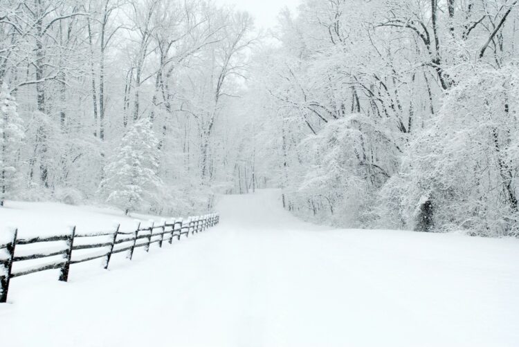 Winter Storm Alert: Powerful Winter Storm Set to Dump 4 Feet of Snow and Slam Highways with 70 MPH Winds
