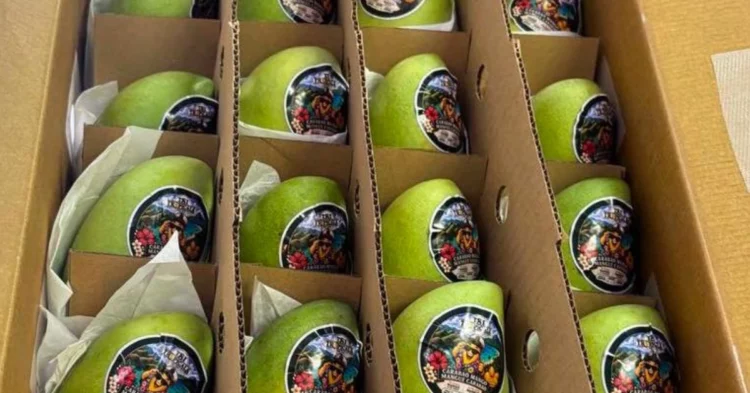 Philippine mango shipment reaches Canada